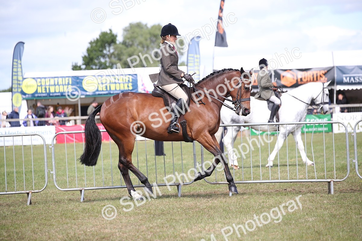 SBM_13313 - Class 95-96 - LIHS BSHA Rising Star Hack Riding Horse