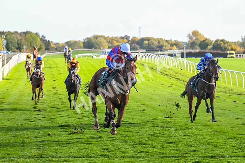 191024-Race 4-Three Dons-4311 - Race 4