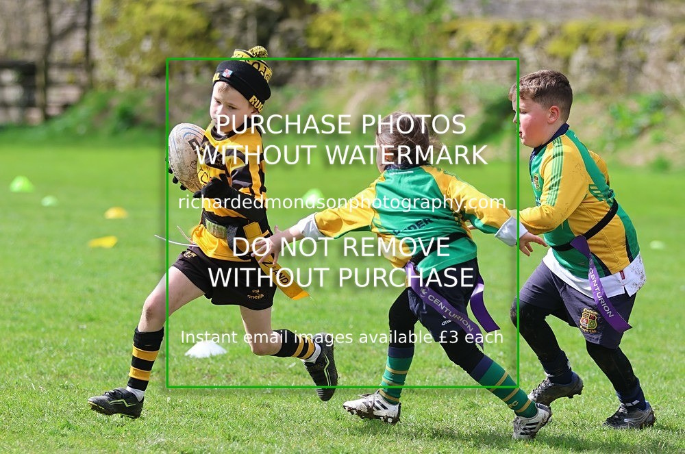 533A5323 - Kendal Rugby Under 7's (12/4/26)