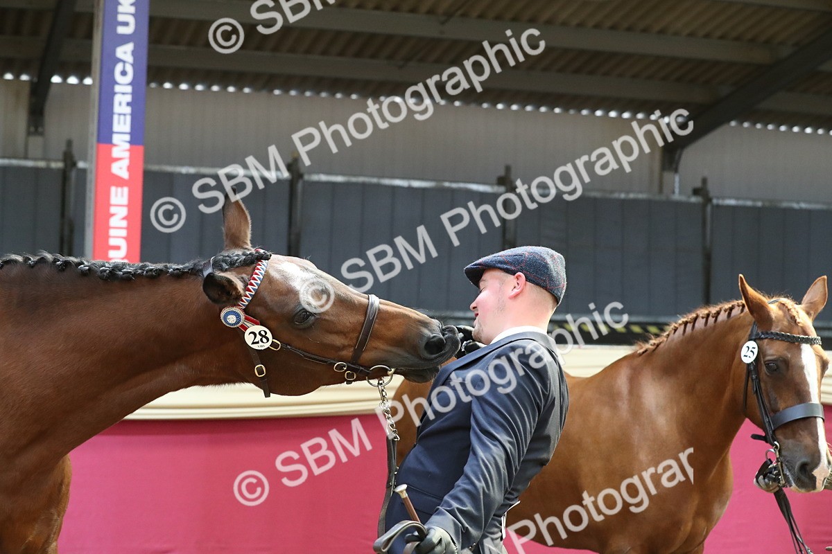 SBM_04434 - Class 7R Regional - IH Diamond