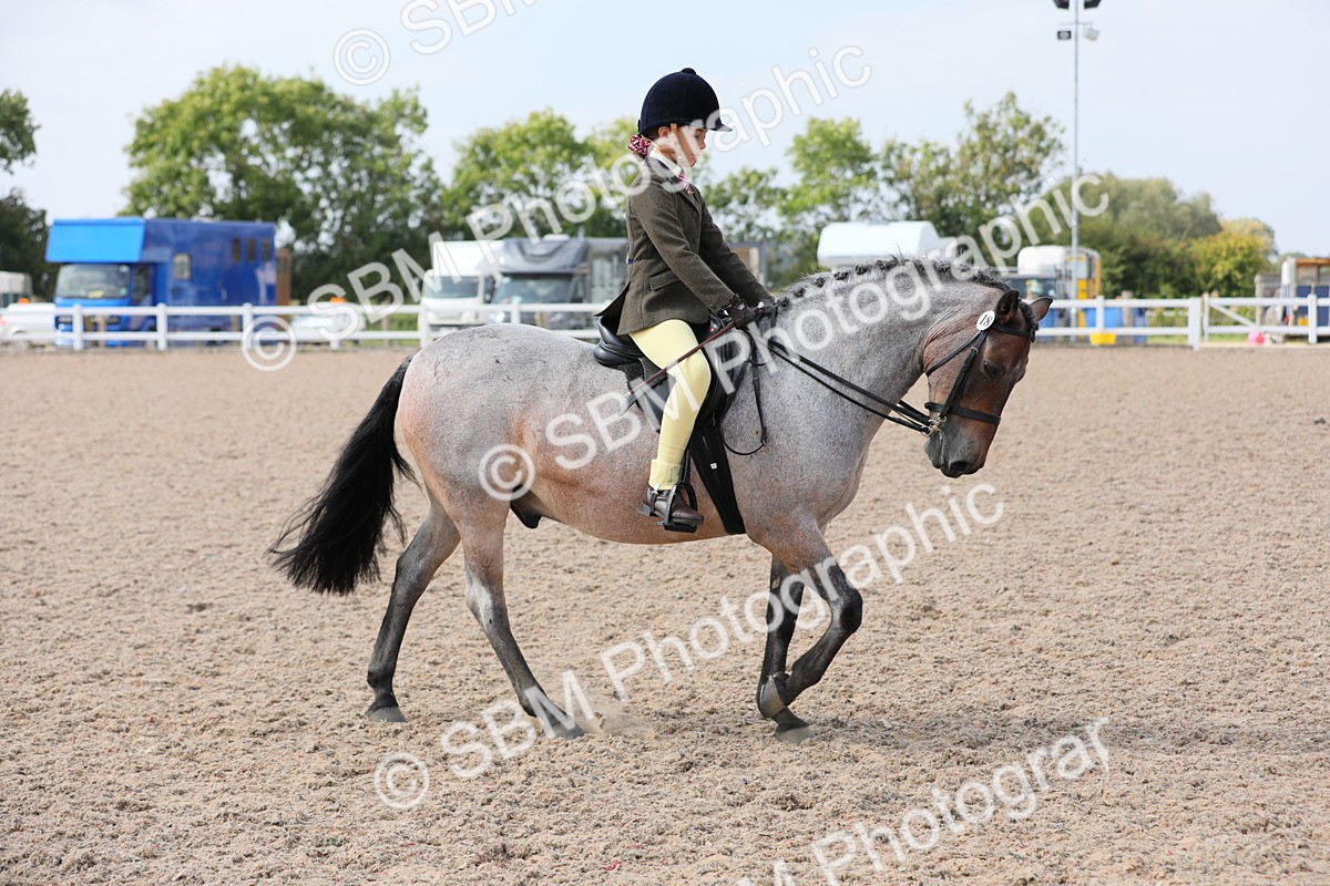 SBM_14689 - Class 310 First Ridden Pony