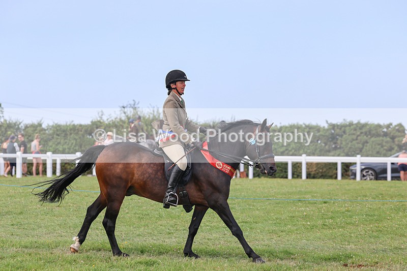 IMG_3748 - M & M Ridden Championship