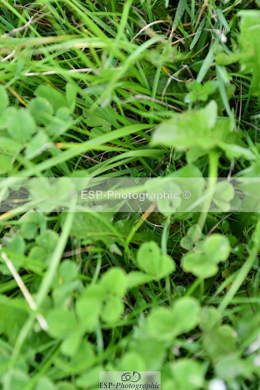 230801A-160324-00216 - Gemma's Ride