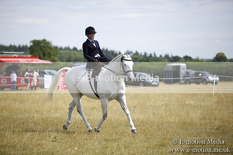 _C7A0301 - Side Saddle Classes BVRC Show 2018