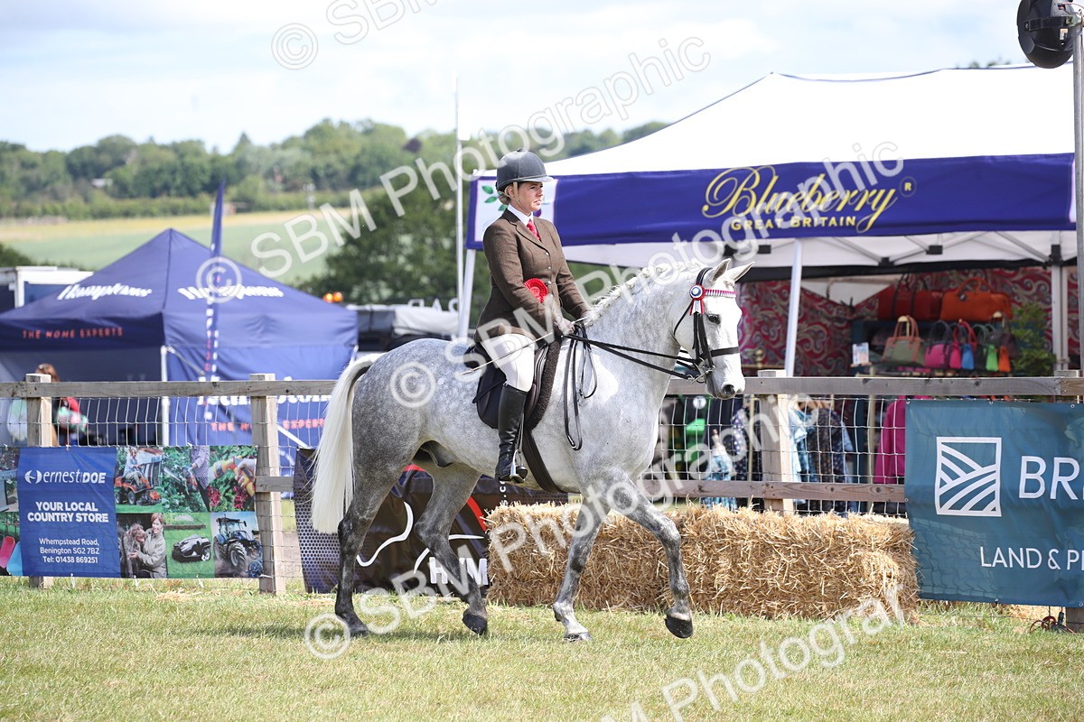 SBM_13304 - Class 95-96 - LIHS BSHA Rising Star Hack Riding Horse