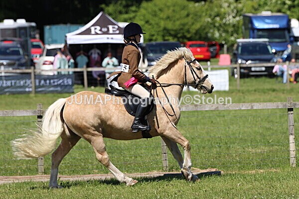 IMG_3945 - Working Hunter