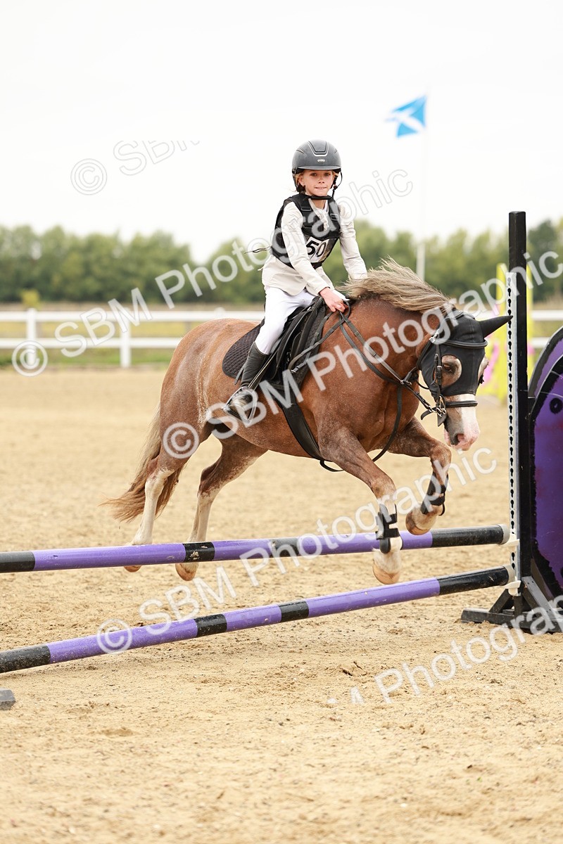 SBM_007284 - Class 2 - 50cm