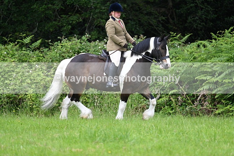 WJ7_2332 - Class 12A Coloured Class