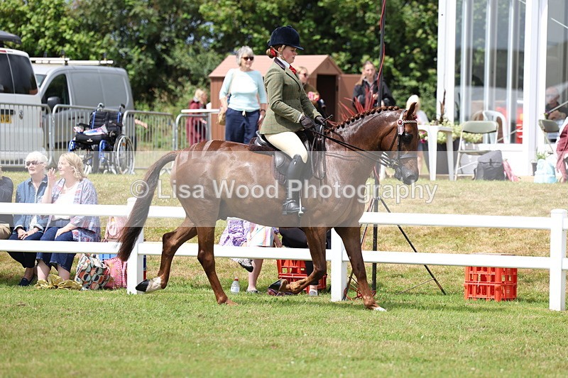 3E7A0842 - Class 8: Open Riding Horse/Hack