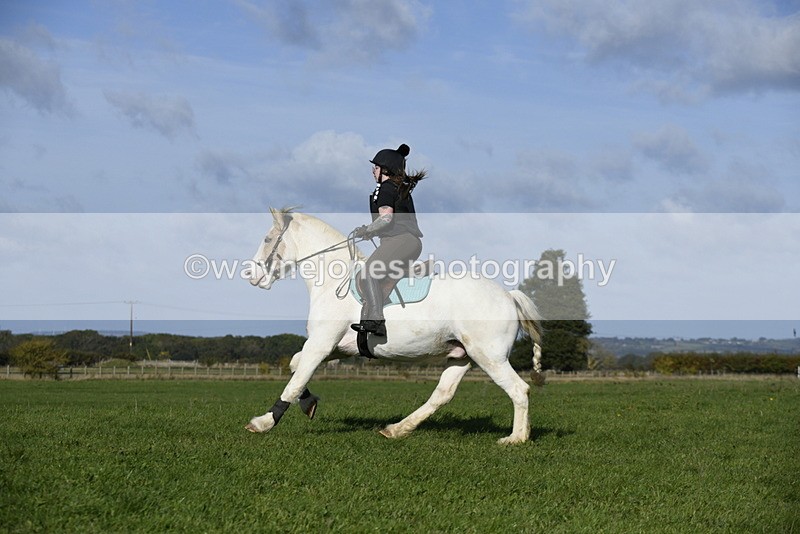 _DSC5413 - Time 10:49 to 11:23