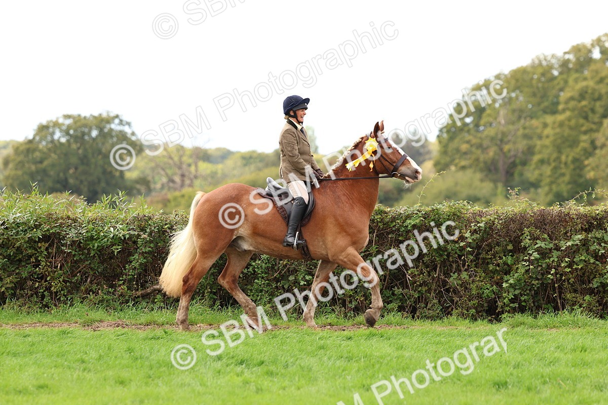 SBM_45150 - S27 - Young Veteran Ridden