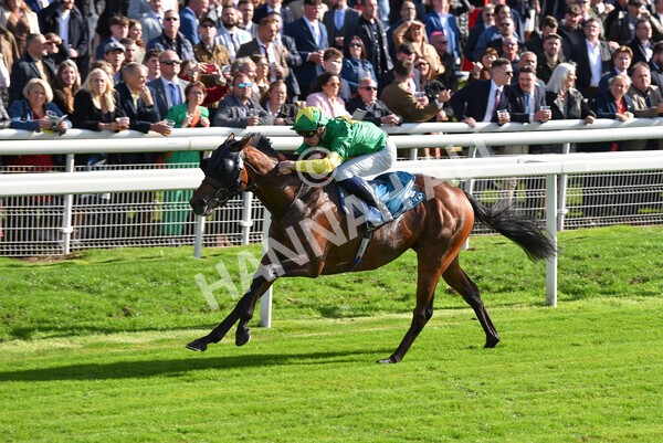 yr08102022r1-36 - Race 1 1.30pm The Coral Play 'Racing-Super-Series' for Free Nursery Handicap