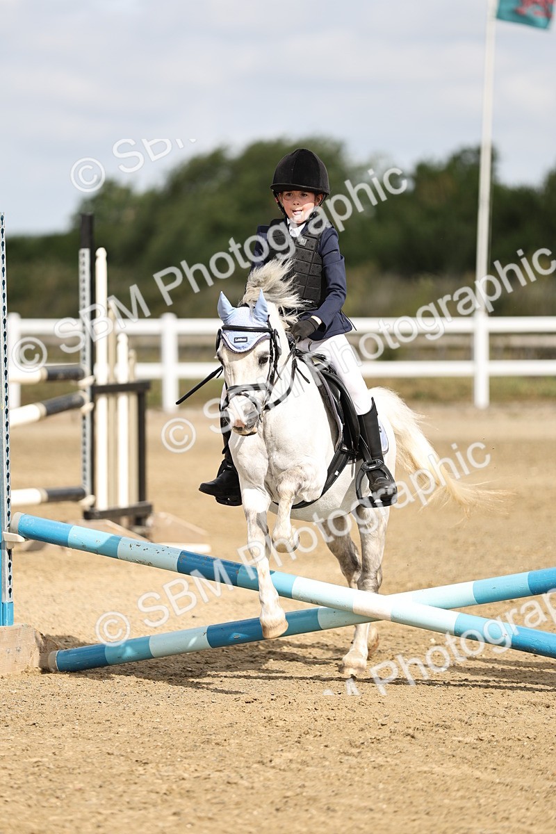 SBM_003287 - 40cm showjumping