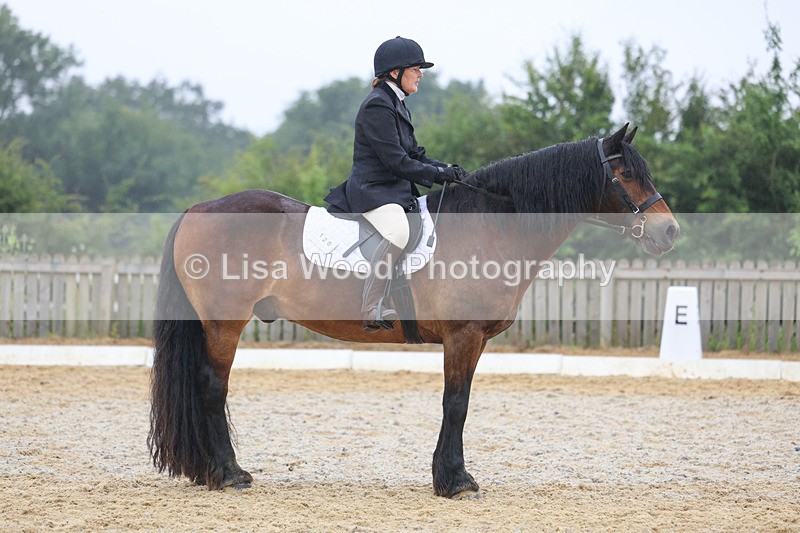 3E7A8481 - Class 2: Intro 3 2024 section B