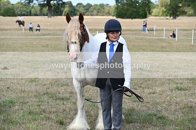 WJ6_6689 - Class 20 In-hand Cob