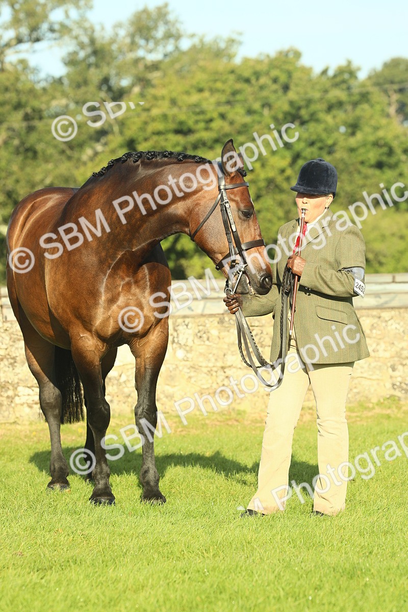 SBM_58596 - S37 - Starters In Hand Showing