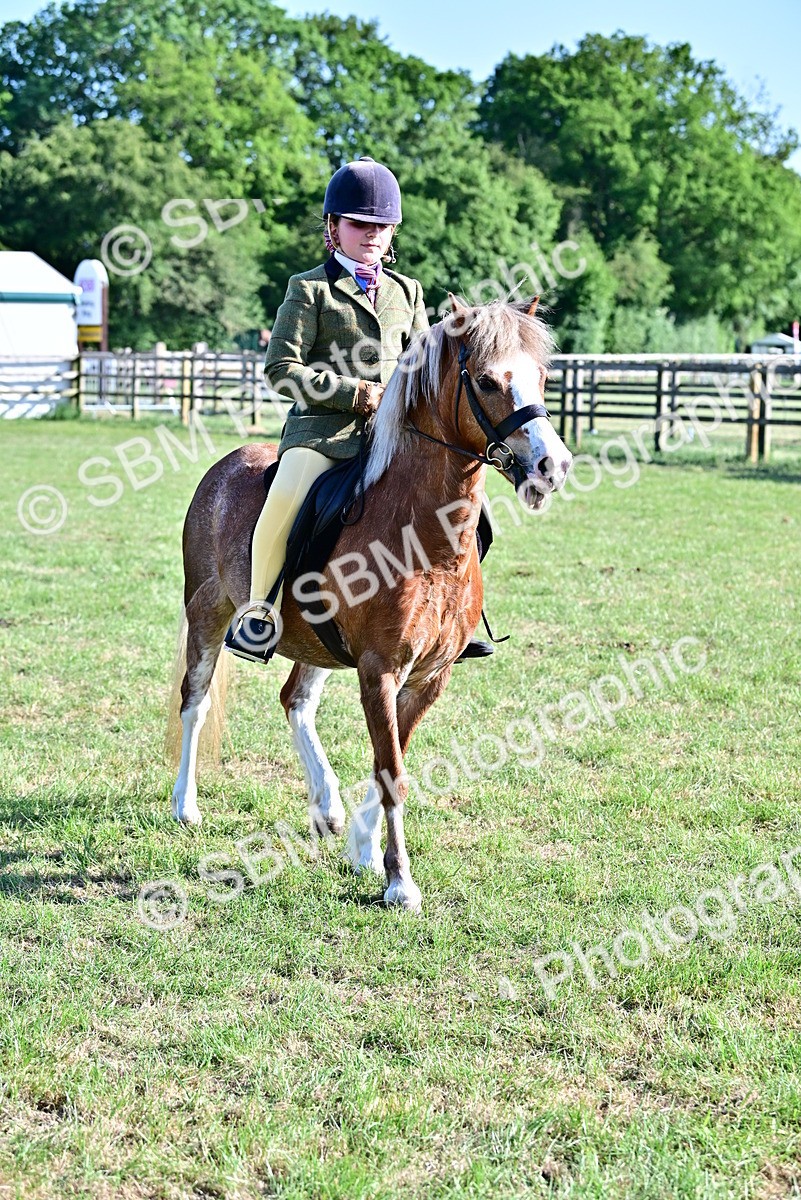 SBM_19861 - Class 103 - 105 - TSR Ridden Amateur of the Year Plaited Ponies