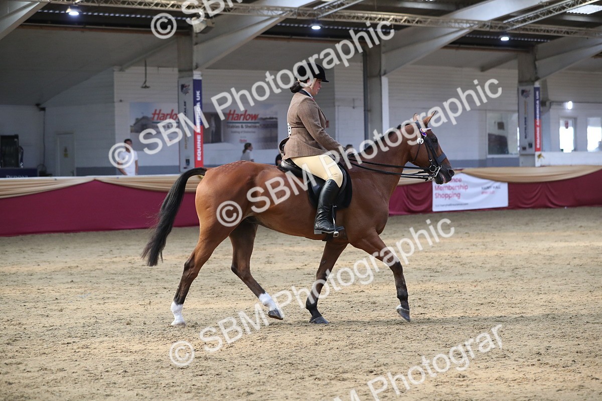 SBM_08393 - Class 11R Regional Ridden Veteran