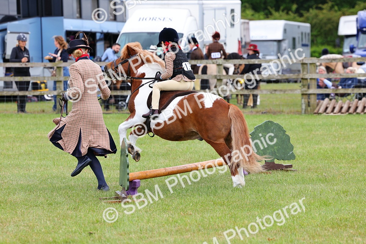 SBM_08238 - Class 42-43 - LIHS BSPS Heritage Working Sports Pony