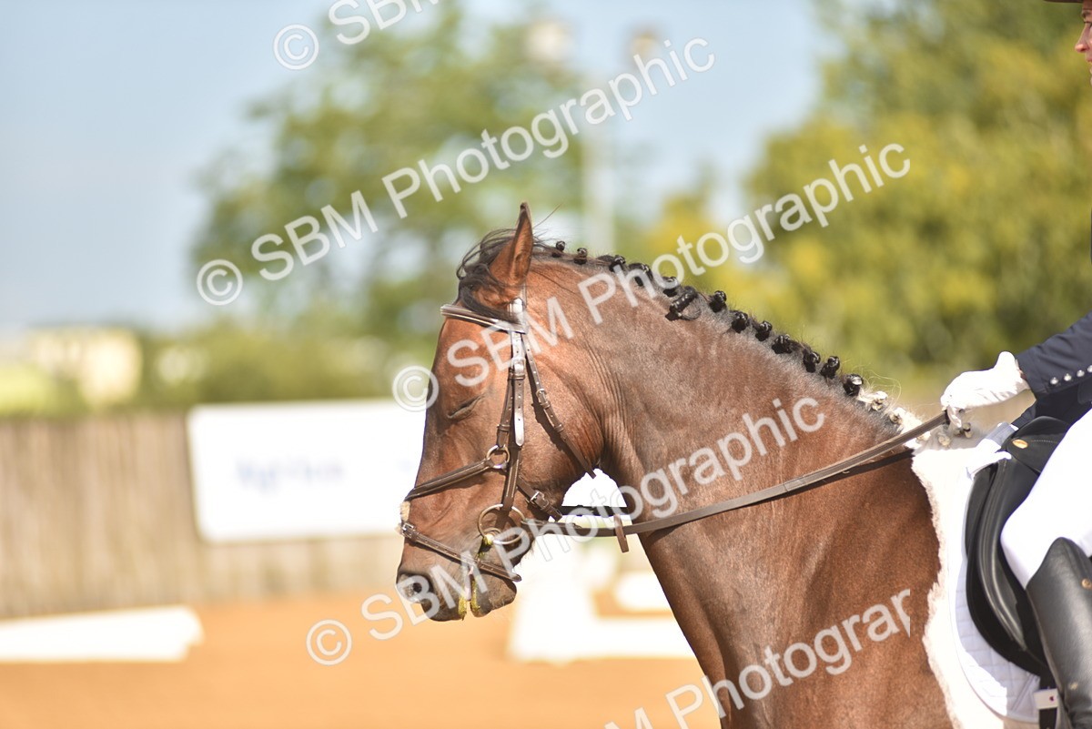SBM_02202 - D7 - Small Tour Championship Prelim 2
