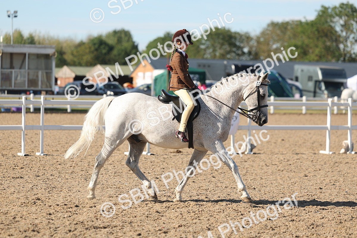 SBM_12332 - Class 304 - Ridden part Bred Horse Pony