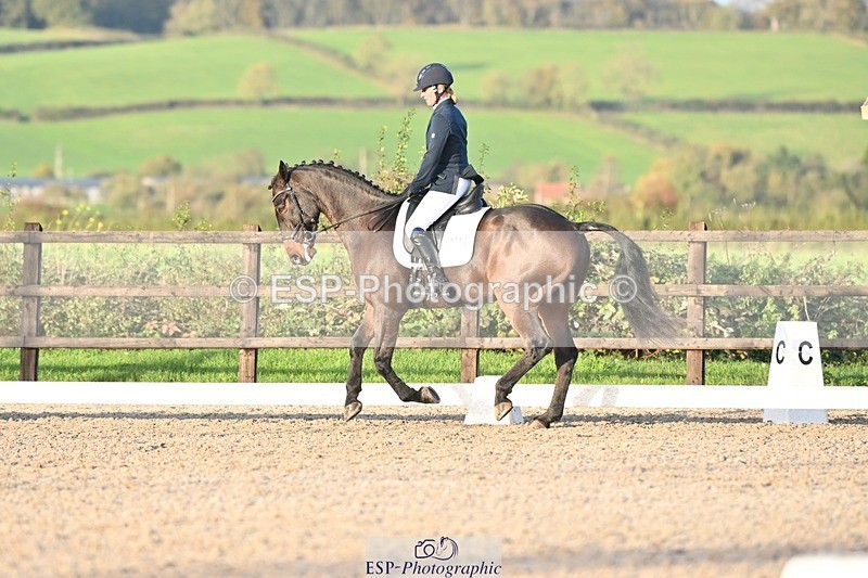 231105-153245-03042 - Cls 4 Novice 24 15.24 to 16.35 break