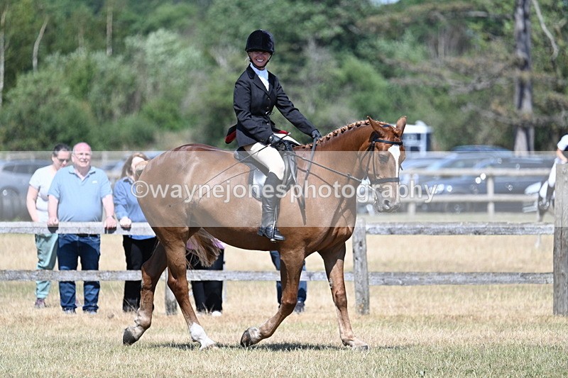 WJ7_3622 - Class 8 Ridden Veterans