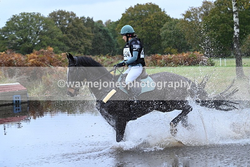 WJ7_3196 - 90cm Cam 2 Water Time 13:29 to 13:47