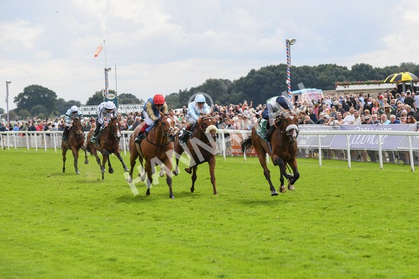 250823-Race 2-Coltrane-0328 - Race 2 2.25pm Weatherbys Hamilton Lonsdale Cup Stakes