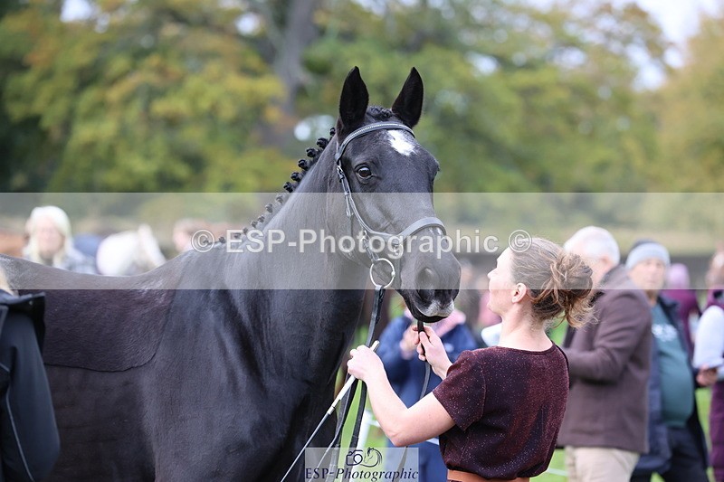 251026A-104215-23203 - F-413-Lucy.Jowett