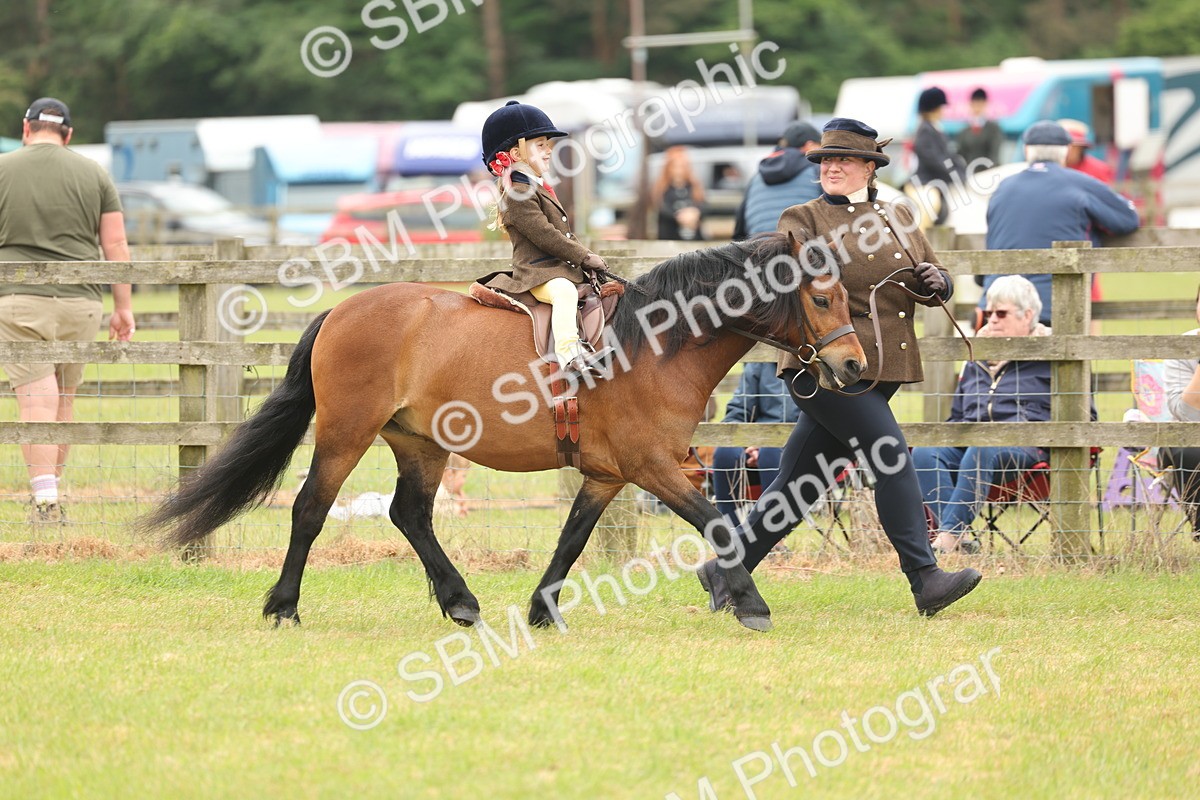SBM_06662 - Class 74-75 - M&M Lead Rein and First Ridden Pony