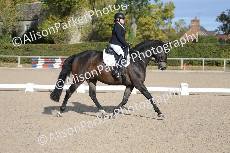 20261011-0275 - Class 4 - Novice 6