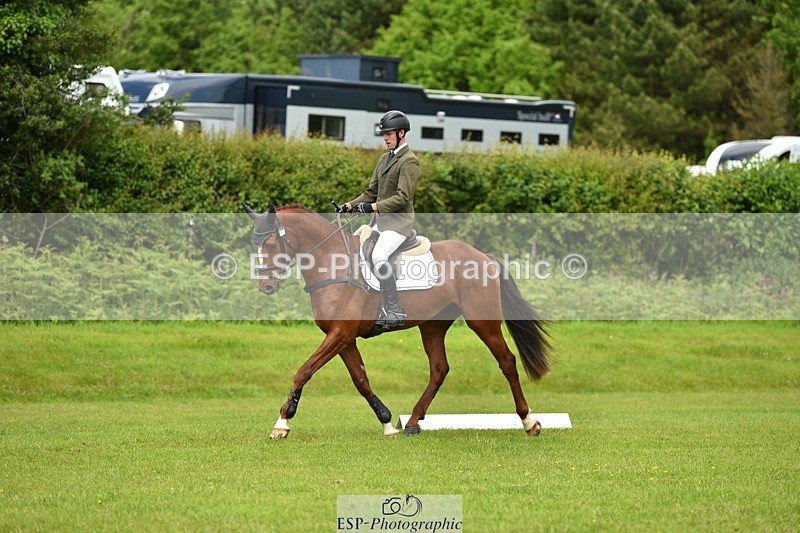 240523B-123824-02200 - 5 Year Old