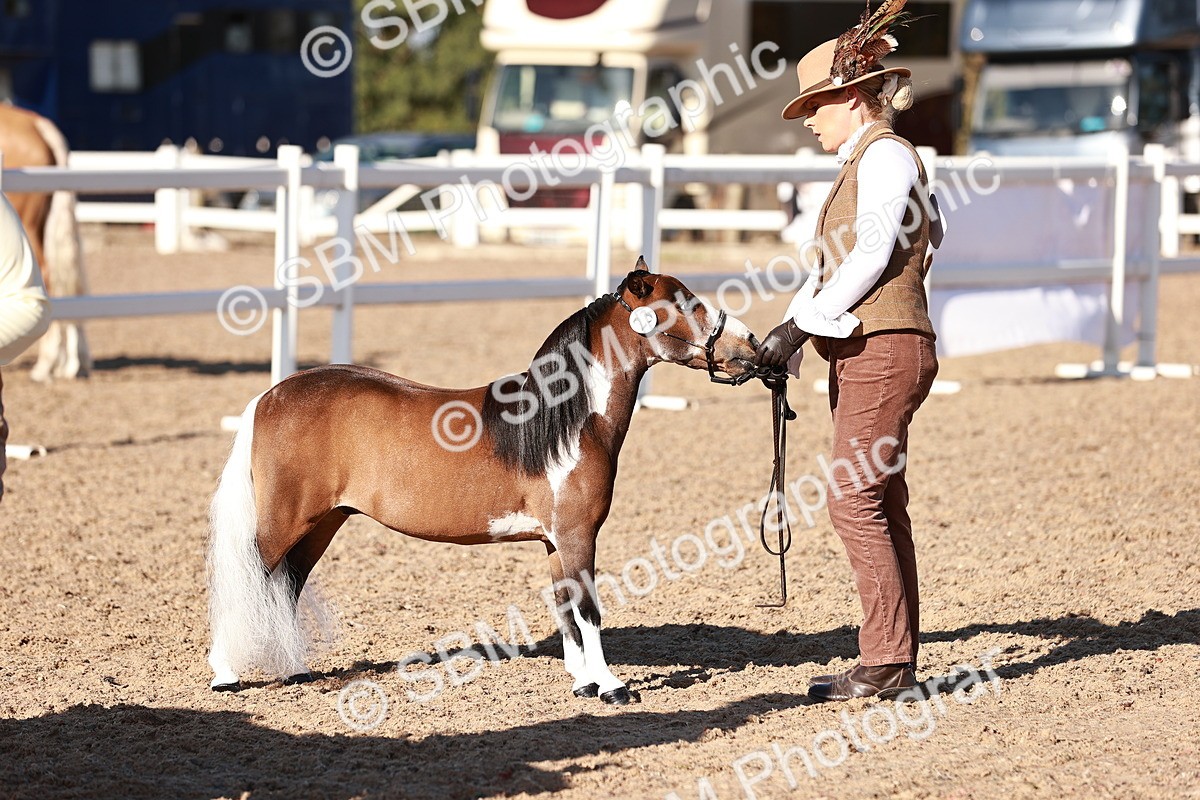 SBM_11447 - Class 402 - IH  Veteran pony