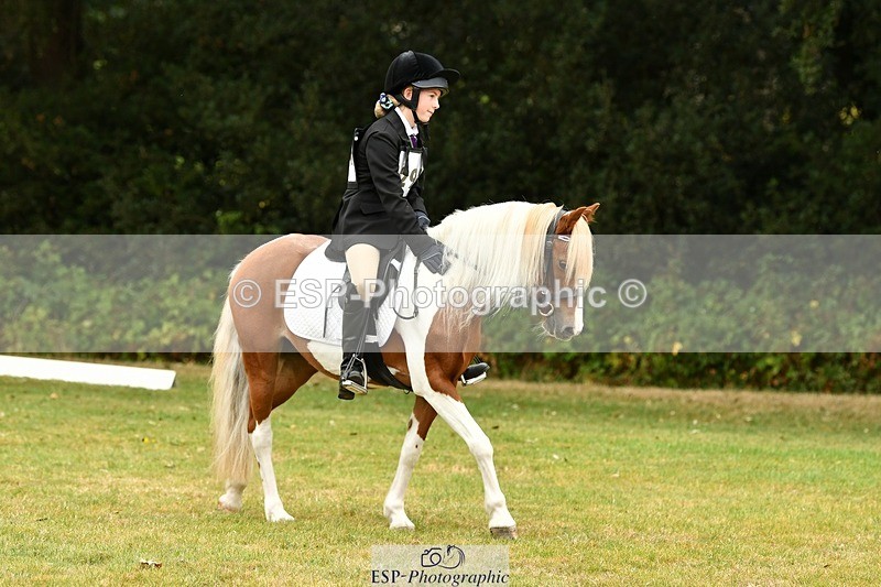 250820A-115019-05328 - 11am to 12