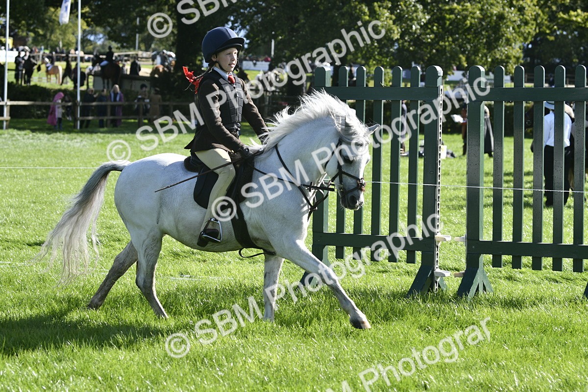 SBM_37269 - S31 - Novice & Newcomer Working Hunter Pony