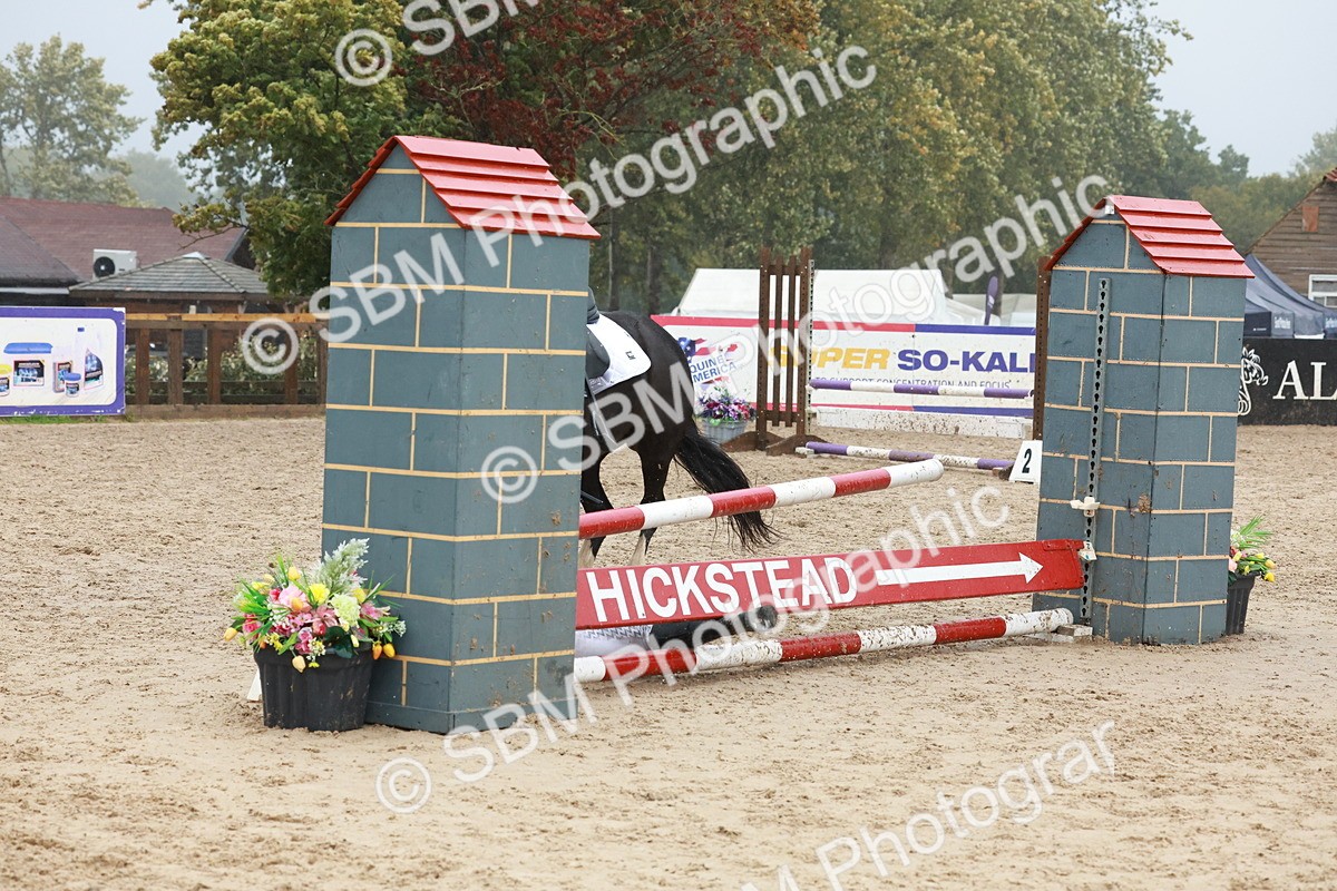 SBM_73421 - Supreme Championship Junior Pony 60cm & 65cm