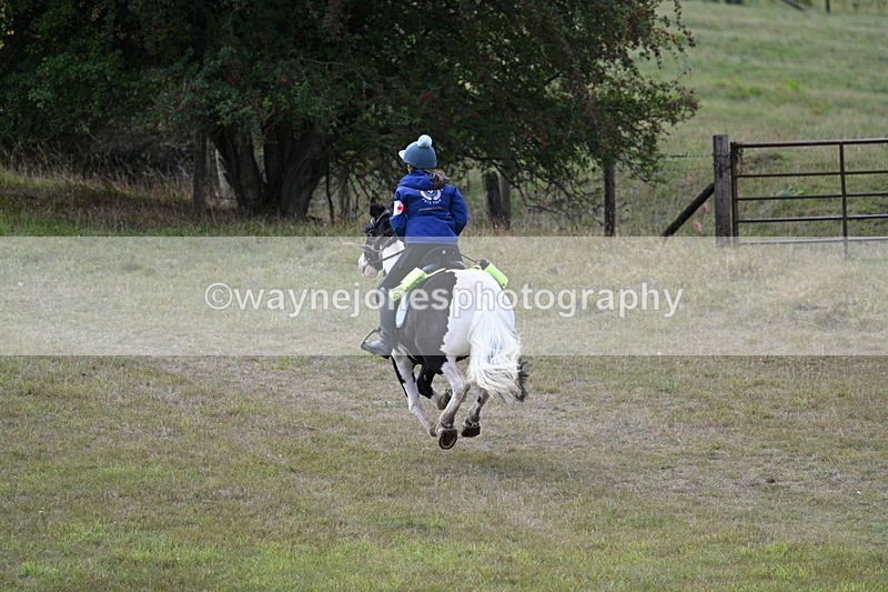 WJ7_5981 - Time 11:50 to 12:09