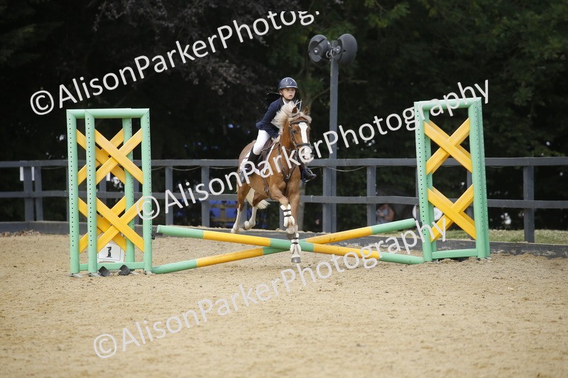 20250622-4037 - 50cm