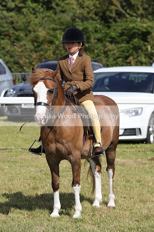 1X9A5737 - Class 40: NPS Welsh A & B