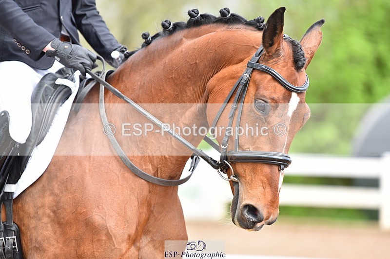 230511A-105925-00366 - BD Cls 5 Novice 37A