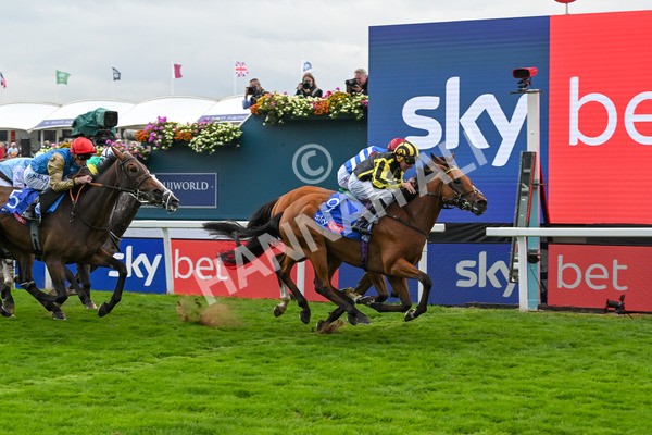 220825-Race 1-Asgards Captain-6641 - Race 1 1.50pm Sky Bet Handicap
