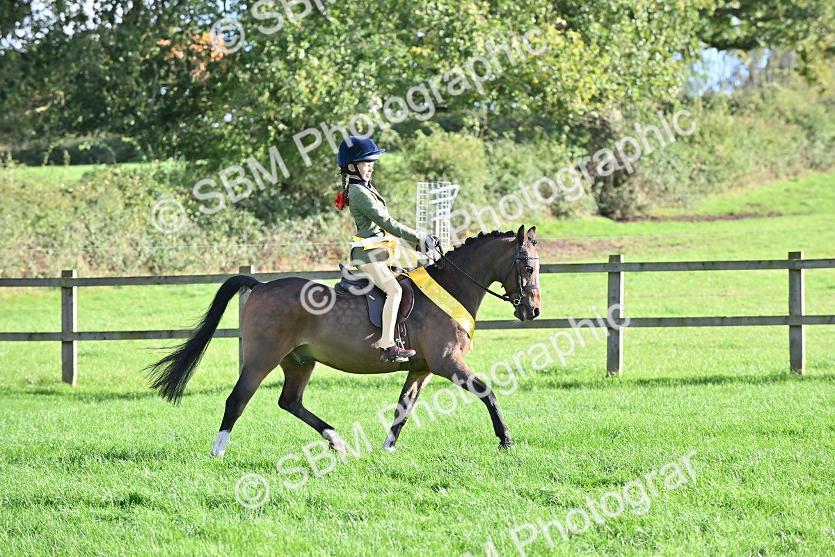 SBM_51293 - S22 - First Ridden show and show Hunter Pony