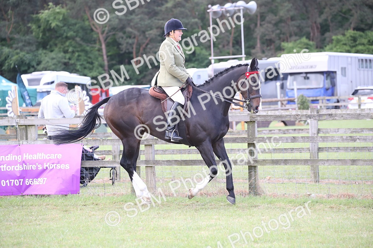 SBM_14178 - Class 113-114 - Retraining of Racehorses Ridden