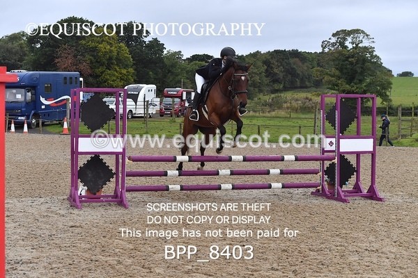 BPP_8403 - CLASS 3 Pony BritiNovice / 0.80m Open