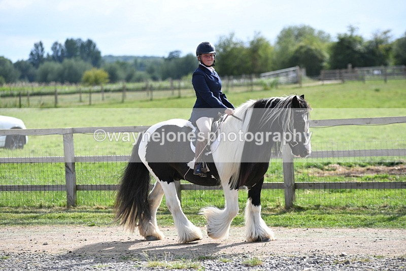 WJ5_7936 - Time 16:56 to 17:14