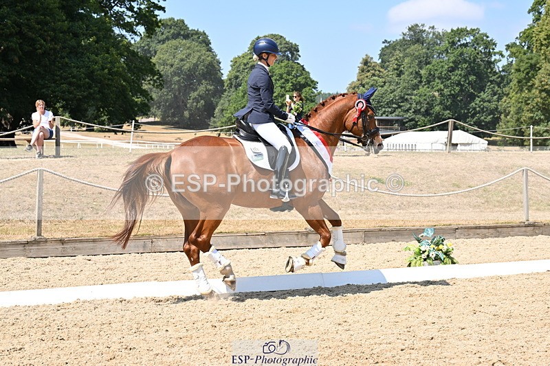 250810A-123434-06423 - Adv Medium GOLD Presentations