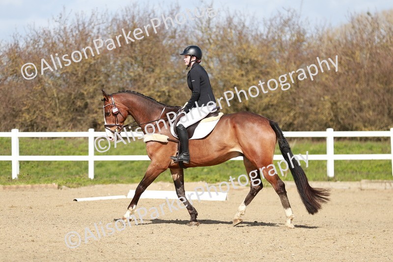 20260314-2904 - DR3 - Prelim 1