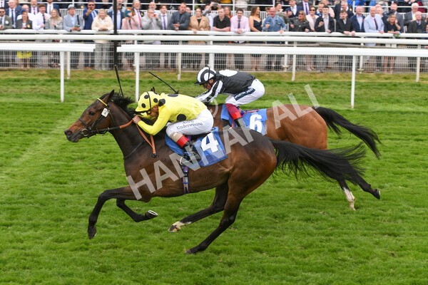 yr13052022r2-30 - Race 2 2.25pm Oaks Farm Stables Fillies' Stakes (registered as the Michael Seely Memorial Stakes)