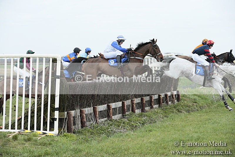 PtP 230319 92 - VWH Hunt Siddington Point-to-Point Racing 23/03/19
